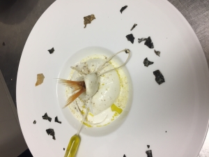 Oplà,  il branzino è finito nella burrata